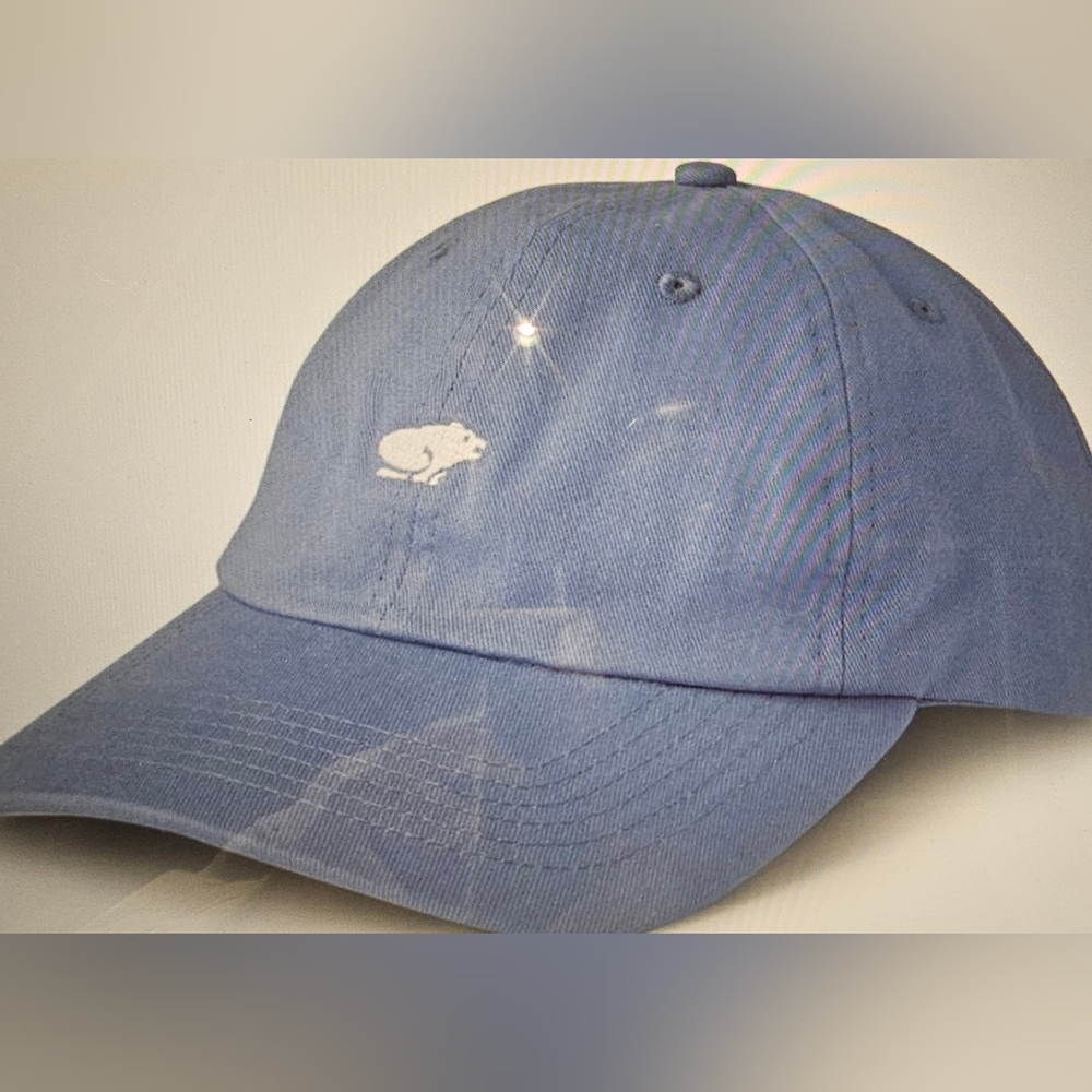 KARHU CLASSIC LOGO CAP - Color-RIVIERA / FOGGY DEW - BRAND NEW - NEVER WORN!!